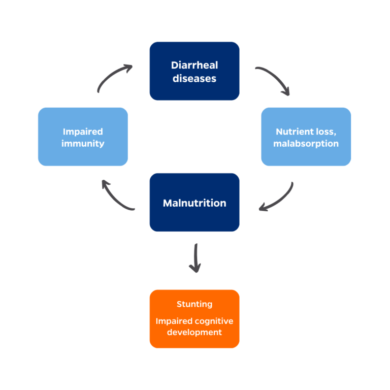 Diarrheal diseases and malnutrition cycle Diarrheal diseases and malnution cycle into each other and lead to stunting and impaired cognitive development